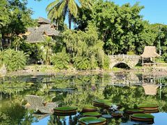 -中国科学院西双版纳热带植物园