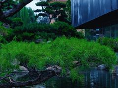 -罗红摄影艺术馆