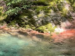 -西岭雪山大飞水景区