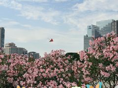 -海心沙亚运公园
