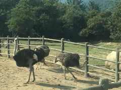 -西安秦岭野生动物园
