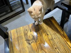 -顺丰面馆(打浦店)