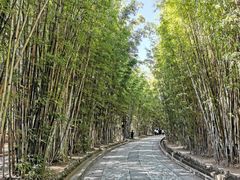 -蝴蝶泉公园