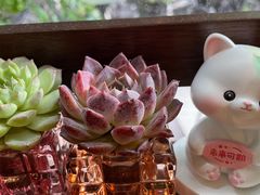 -街角 T·COFFEE 融合料理·BISTRO(车公庙店)