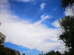 -小仙居·农家宴烤羊· 农庄