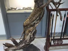 -稍可轩博物馆餐厅