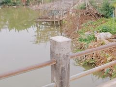 -水乡人家私房菜(逢简店)