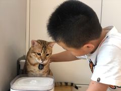 -啵啵喵·猫咖(攀华国际店)