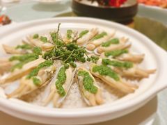 青汁盐焗蛏-宣和苑(华侨新村店)