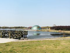 -上海都市菜园