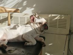 -平行世界·猫咖(首经贸店)