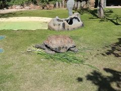 -珠海长隆海洋王国