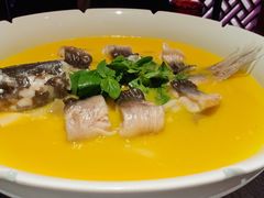 子福慧首创鮰鱼-子福慧·现代淮宴(陆家嘴中心店)