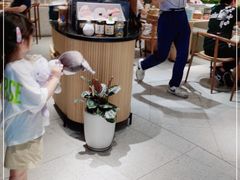 -云海肴云南菜(浦江欢乐颂店)