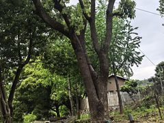 -南北湖风景区