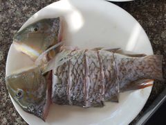 -龙记园海鲜坊(免税城店)