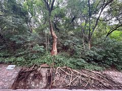 -广州市白云山风景名胜区