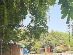 -东园小馆·早茶·淮扬小炒(宋夹城店)