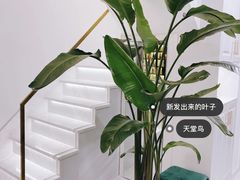 -京东家装(昆明总店)