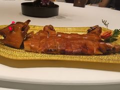 -金满楼(天河中路店)