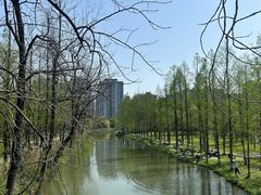 -洋湖国家湿地公园