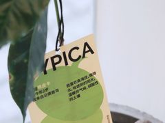 -村口大树(长乐路店)
