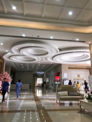 -玛丽亚妇产医院