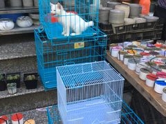 -本溪路花鸟市场(江浦路1709弄小区店)