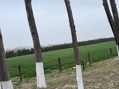 -汉长安城未央宫国家考古遗址公园