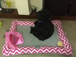 -杉惠素颜美妆皮肤管理中心