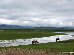 -郭莽湿地