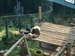 -大连森林动物园