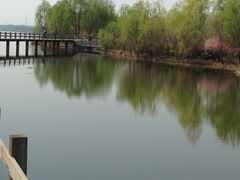 iphone_upload_pic-沈阳鸟岛