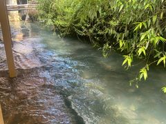 -源泉冷水鱼庄(小鱼洞店)