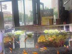 -鑫巴蜀小镇 · 水煮鱼专研店(玉桥店)