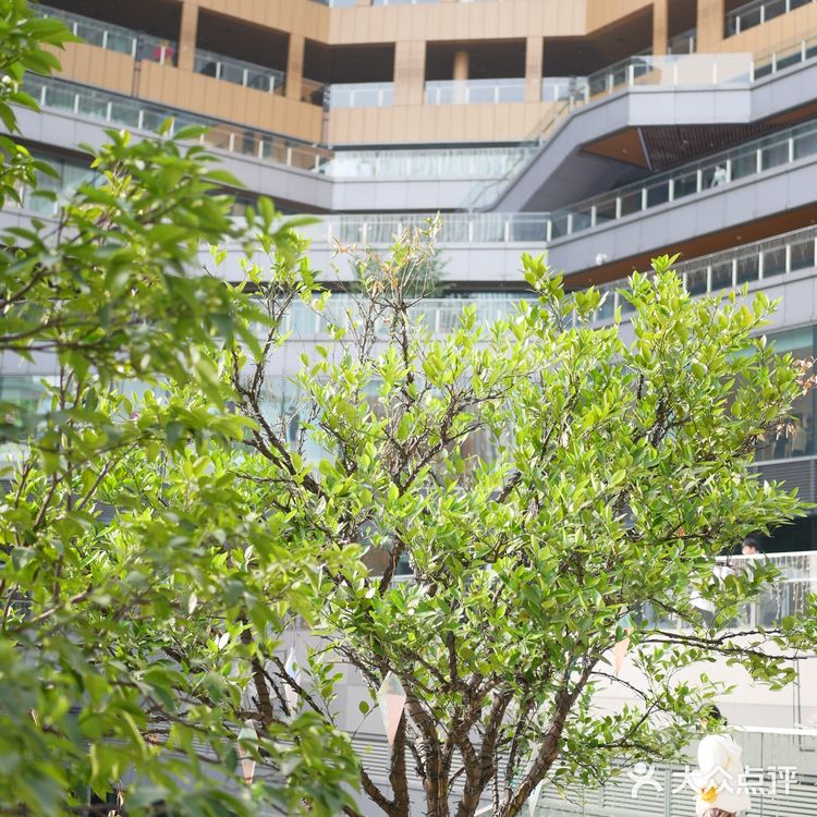 大悦城悦街的喷泉喷火🔥你看过了吗⁉️