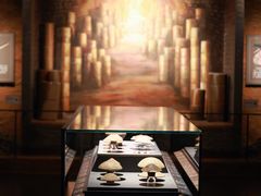 -广西壮族自治区博物馆