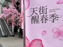-首开·龙湖成都西宸天街