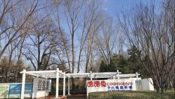 -酷酷兔少儿拓展天地