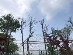 -江南天池