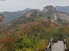 -大岭沟猕猴桃谷风景区