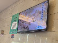 -初色海鲜自助(万丰路店)