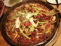 -老板恋上鱼(印象城店)