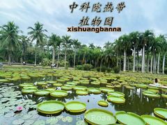 -中国科学院西双版纳热带植物园