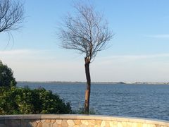 -上海滴水湖皇冠假日酒店