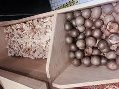 -炖物24章·顺时轻养茶(杭州保利时光里店)