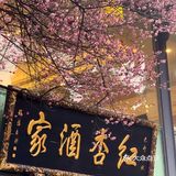  红杏枝头春意闹，春天来了