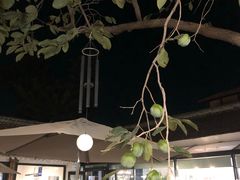 -素心小筑(后沙裕镇店)
