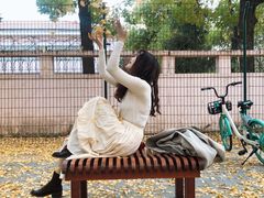 -三里屯东五街银杏大道