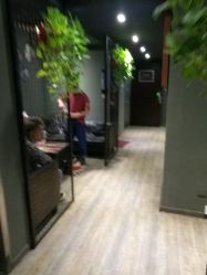 -藤野造型